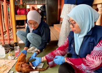 DR. Yahasmida Yaacob (kanan) melakukan pemeriksaan kucing yang cedera dalam kebakaran rumah di Kampung Cina Gok Kapur, Kota Bharu, Kelantan. – UTUSAN/ROSLIZA MOHAMED