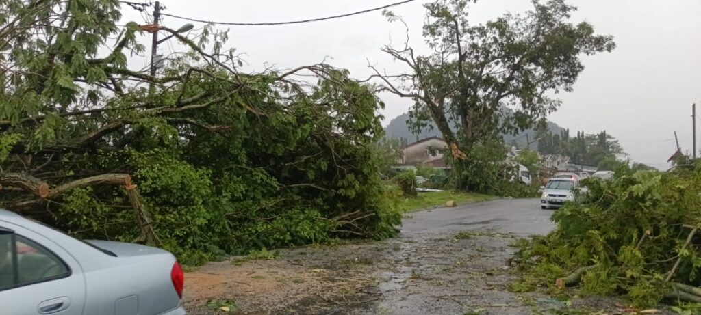 Over 200 homes damaged by storm in Ipoh