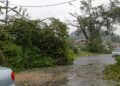 KEADAAN pokok yang tumbang akibat ribut di Anjung Bercham di Ipoh hari ini. - GAMBAR IHSAN APM