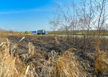 EL NINO ekstrem berpotensi membawa kemarau berpanjangan, gelombang haba serta peningkatan risiko kebakaran hutan.