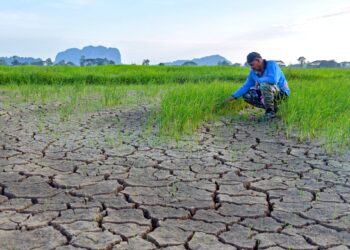 pengurangan hasil pertanian akibat cuaca panas dan kemarau berpanjangan akan mewujudkan tekanan terhadap bekalan makanan domestik
