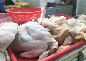 HARGA ayam segar di Pulau Pinang meningkat pada hujung Mei lalu apabila permintaan pengguna dikatakan bertambah berbanding hari biasa.-UTUSAN/SAFINA RAMLI