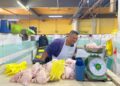 BURHANUDIN Bajuri menimbang ayam dibeli pelanggannya ketika ditemui di Pasar Seksyen 14, Petaling
Jaya, Selangor semalam.