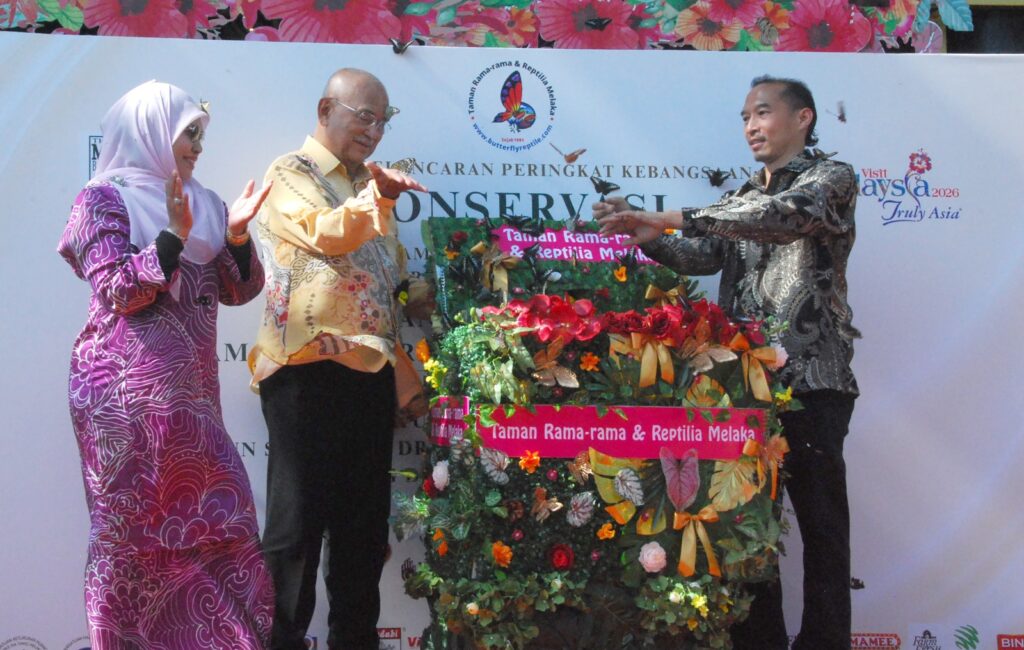 Malaysian Butterflies Face Extinction Without Increased Conservation Awareness