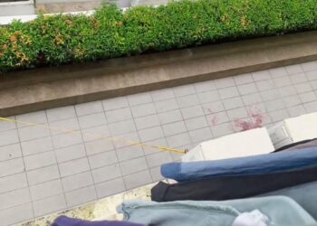 DUA beradik dipercayai maut terjatuh dari tingkat 12 sebuah pangsapuri di Jalan Tampoi, Kawasan Perindustrian Tampoi, Johor Bahru, semalam.