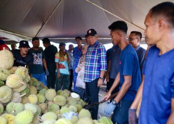 MAHDZIR Khalid (kiri) melihat pelbagai varieti durian pada Durian Fest @ Prospek Pedu 4.0 di Bukit Langsat, Kampung Padang Setol di Pedu, Padang Terap. - UTUSAN/ SHAHIR NOORDIN