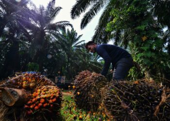 Sektor perladangan sering berhadapan masalah kekura­ngan pekerja yang serius
