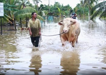 Banjir Bukit Changgang