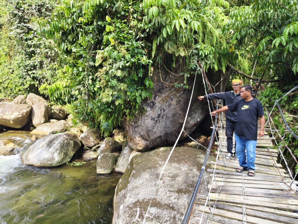 Nasib baik Jaslinda tak makan cendawan beracun