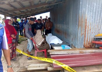 MANGSA disahkan meninggal dunia selepas bot nelayan dinaiki bersama lima rakannya terbalik dilanda ombak besar berhampiran Pulau Sayak di Tanjung Dawai, Sungai Petani.