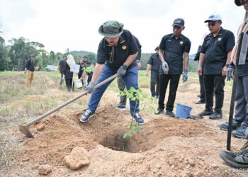 Manndzri Nasib turut menanam sendiri pokok getah di Ladang UCAM sebagai simbolik sokongan penuh terhadap projek rintis Program TGBB.