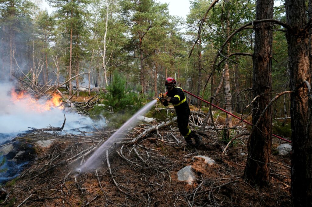 Volunteer Firefighter Suspected of Starting French Forest Fire