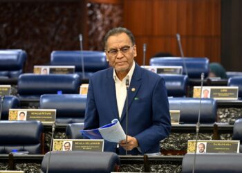 DZULKEFLY AHMAD