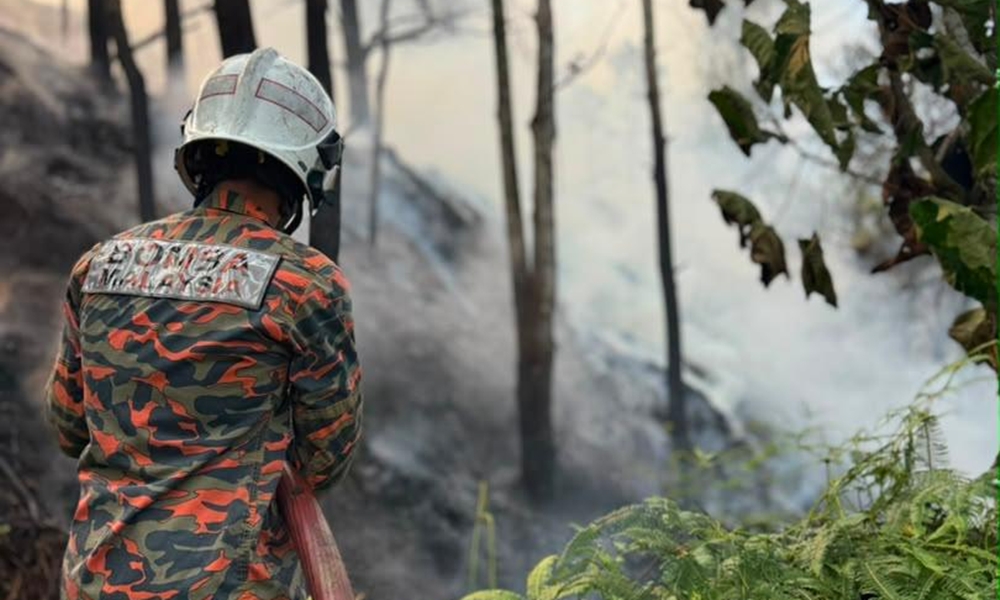 Kebakaran hutan Puncak Alam