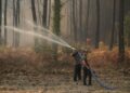 ANGGOTA bomba memadamkan kebakaran hutan di Lanton, barat daya Perancis.- AFP