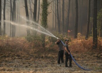 ANGGOTA bomba memadamkan kebakaran hutan di Lanton, barat daya Perancis.- AFP