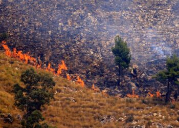 KEBAKARAN hutan yang memusnahkan kawasan di Sagana, wilayah Monreale, Sicily.- AFP