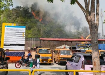 Kebakaran hutan SK Puncak Alam 2