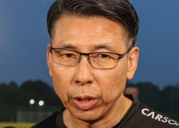 Tan Cheng Hoe