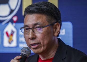 Tan Cheng Hoe