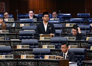 Zulkifli Hasan ketika sesi soal jawab lisan di Dewan Negara semalam.