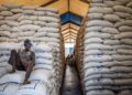 Seorang pekerja duduk di atas timbunan guni bantuan makanan di sebuah hangar di Bor. - AFP