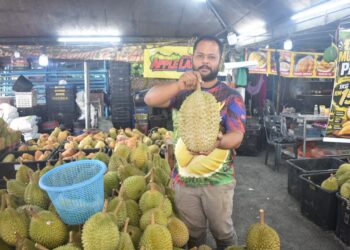 Pix

MUHAMAD Hafiz Yussof menunjukkan buah durian Musing King yang dijual pada harga murah di gerainya di Seriab, Kangar, Perlis semalam.-UTUSAN/ASYRAF MUHAMMAD