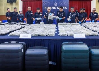 Bunga ganja KLIA