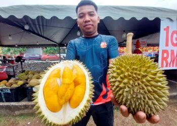 AZRIEL Shazreen Izani menunjukkan durian Apam King di gerainya di Kampung Balok, Kuantan, Pahang.
