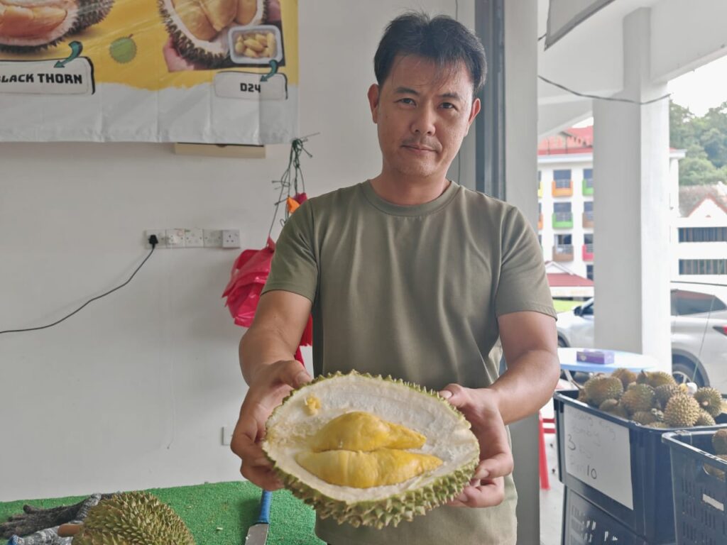 Tupai King Durian Fetches RM120/kg Amidst High Demand in Malaysia