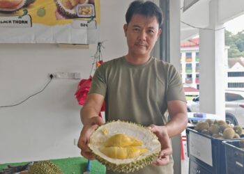 CHIN Wai Kian menunjukkan  isi durian Tupai King yang dijual di bandar Kuala Lipis di Lipis, Pahang. – UTUSAN/HARIS FADILAH AHMAD