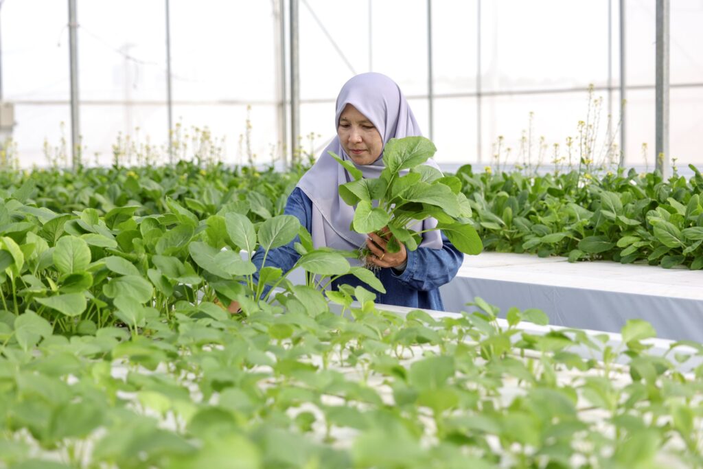 Malaysia's Food Security Faces Global Conflict Risks