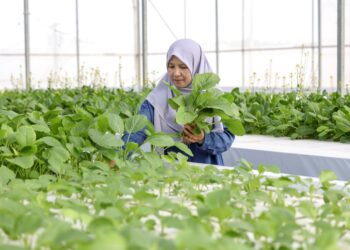 Universiti Putra Malaysia (UPM) sebagai universiti peneraju dalam bidang pertanian dan keterjaminan makanan sentiasa memainkan peranan membantu negara melalui penyelidikan, inovasi dan pembangunan teknologi yang meningkatkan daya tahan sistem agromakanan.