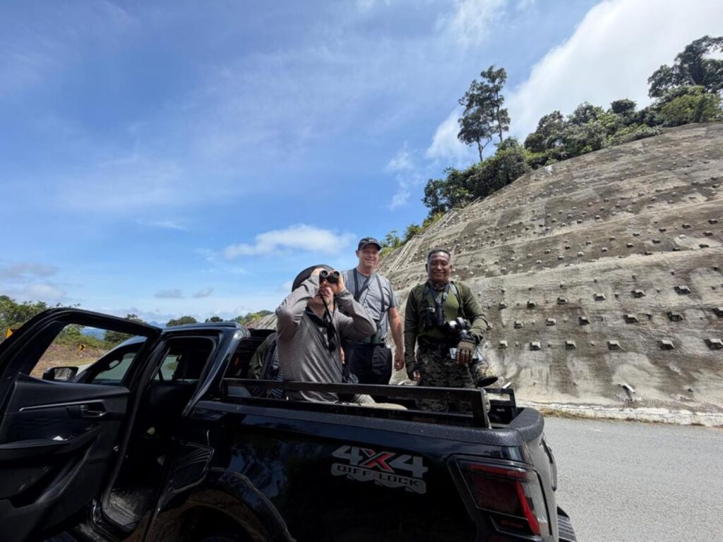 Hornbill Conservation in Taman Negara Could Attract Foreign Tourists
