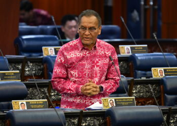 DZULKEFLY AHMAD