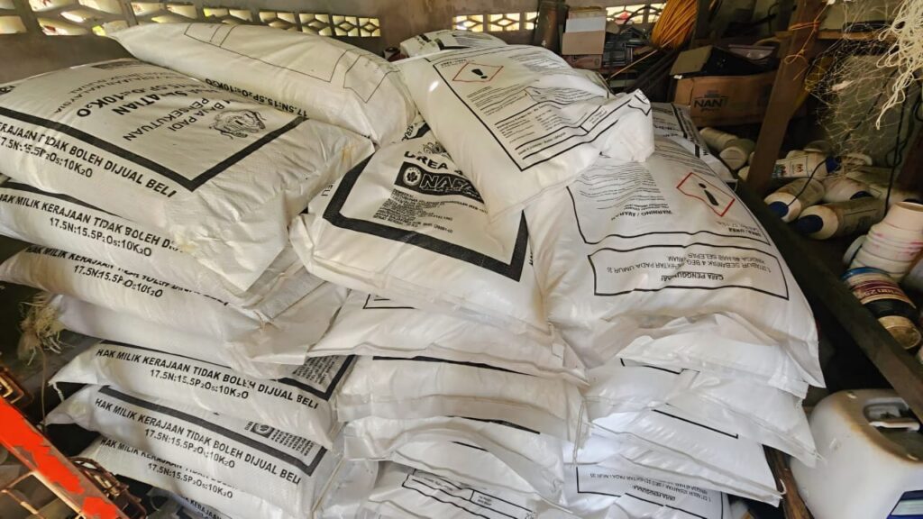 Rompin farmers receive timely fertilizer, averting planting delays unlike northern counterparts