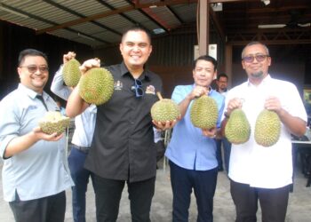 Muhamad Akmal Saleh menunjukkan durian premium Musang King dan Black Thorn ketika mengadakan lawatan tapak sempena Festival Kendurian di Duta Riang Villa, Selandar, Melaka, semalam-UTUSAN/AMRAN MULUP