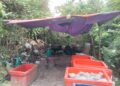 LOKASI serbuan ‘makmal’ memproses air ketum yang diserbu PGA di Kampung Bechah Tok Kamal, Tanah Merah, Kelantan semalam-IHSAN PGA.