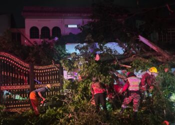 BEBERAPA anggota bomba sedang menjalankan kerja-kerja pembersihan susulan kejadian pokok tumbang di Jalan Batu Gantung, Air Itam, Pulau Pinang malam tadi dengan dibantu oleh beberapa agensi lain termasuk polis, APM dan PBS.-IHSAN JBPM PULAU PINANG