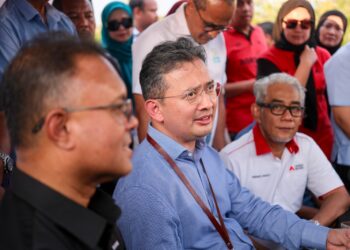 JOHAN MAHMOOD MERICAN