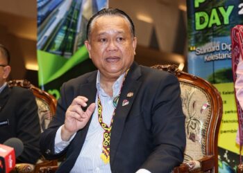 ALEXANDER NANTA LINGGI