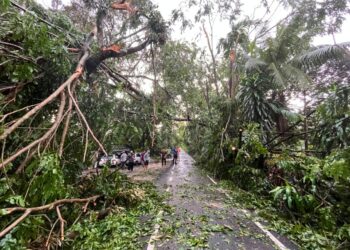 SEBATANG pokok tumbang di Lorong 4/49E  dipotong dan dibersihkan oleh pihak berkuasa.