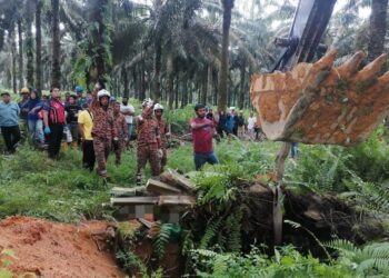 ANGGOTA bomba mengeluarkan seorang pekerja ladang yang maut ditimpa pokok kelapa sawit tumbang di Ladang Kekayaan, Paloh, Kluang, semalam. 
