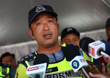 MUHAMMAD NAJIB HAMZAH