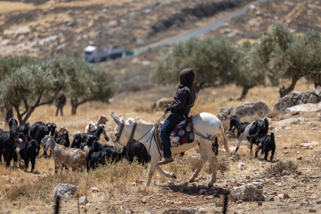 EU Considers Banning Imports from Israeli Settlements Amidst Internal Debate
