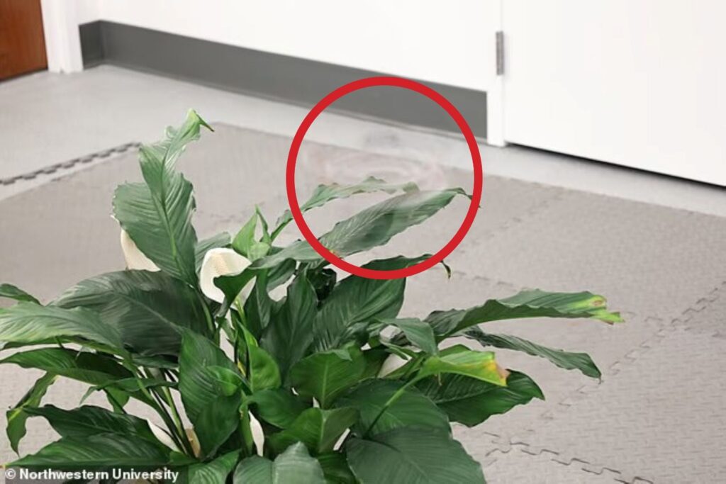 Invisible Drone Developed by Northwestern University Researchers