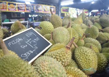 FAMA Perlis mengambil beberapa langkah proaktif dalam menangani isu lebihan durian pada musim ini di Kangar, Perlis semalam. -UTUSAN/ASYRAF MUHAMMAD