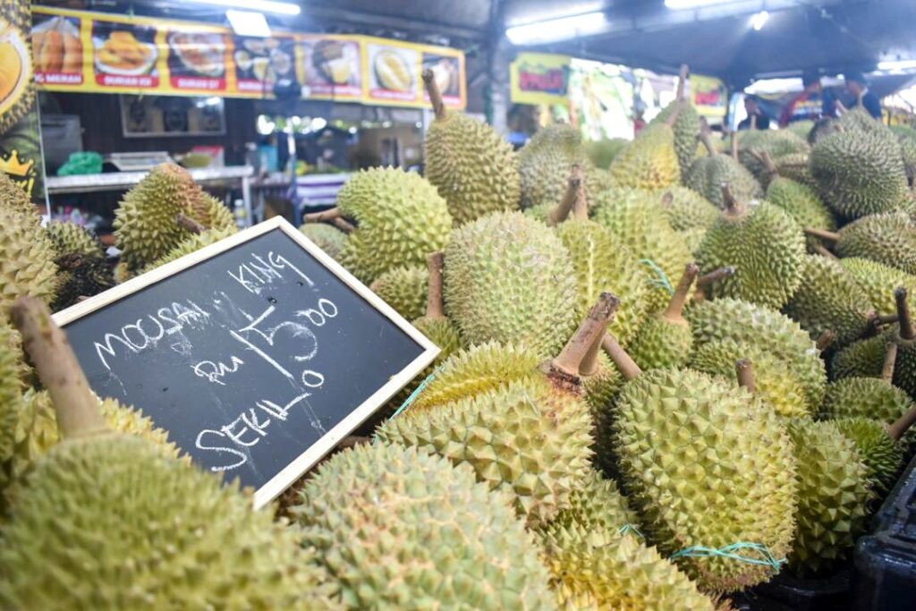 Malaysia's Durian Industry Risks Collapse Over China Export Standards