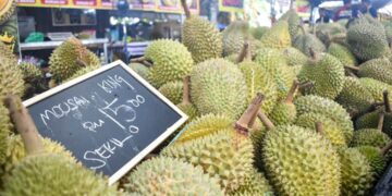 JUMLAH eksport durian Malaysia iaitu buah segar dan beku ke China mencatatkan nilai AS$239 juta.