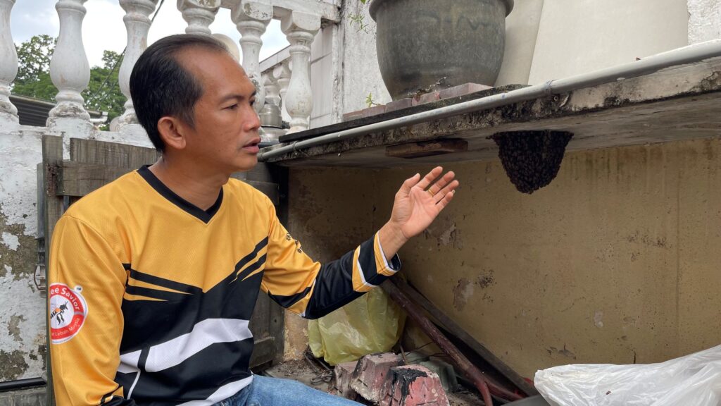 Malaysian volunteers save bees, not destroy nests